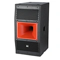 DBK Dual 10-Inch Three-Way Full-Range Point Source Speaker